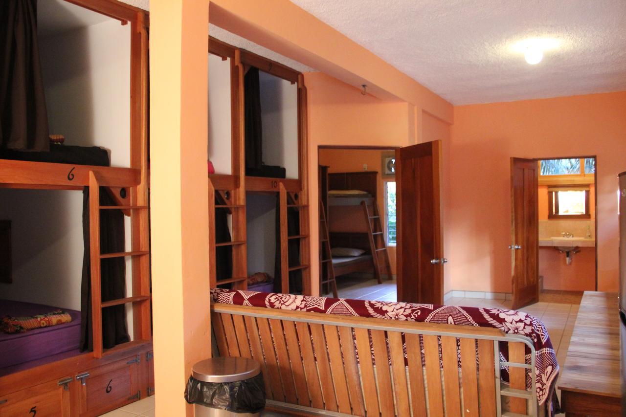 A Piece Of Ground Hostel Пунта Горда Екстериор снимка