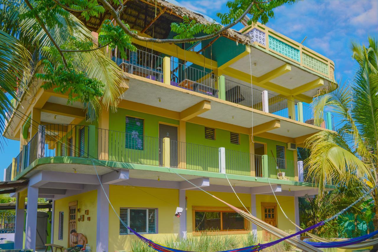 A Piece Of Ground Hostel Пунта Горда Екстериор снимка