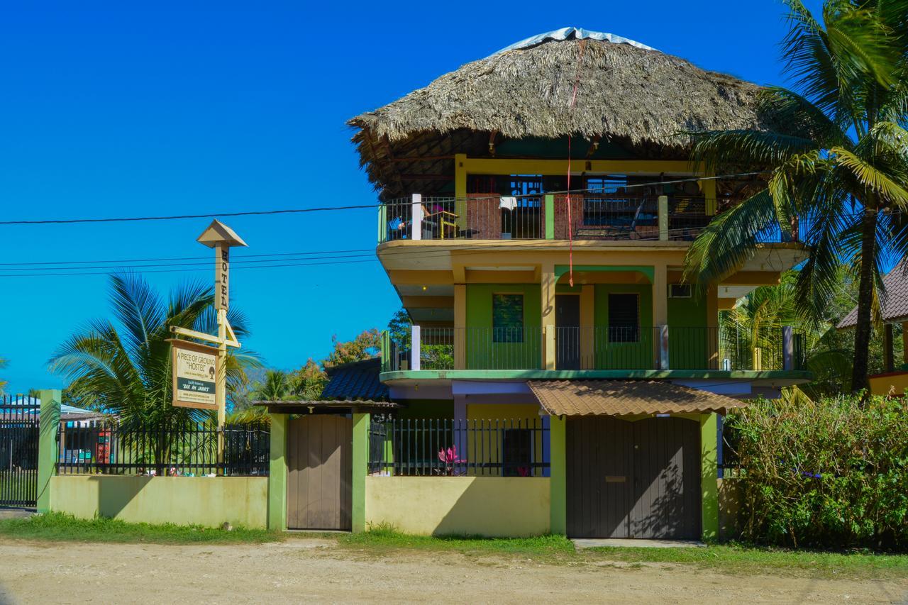 A Piece Of Ground Hostel Пунта Горда Екстериор снимка