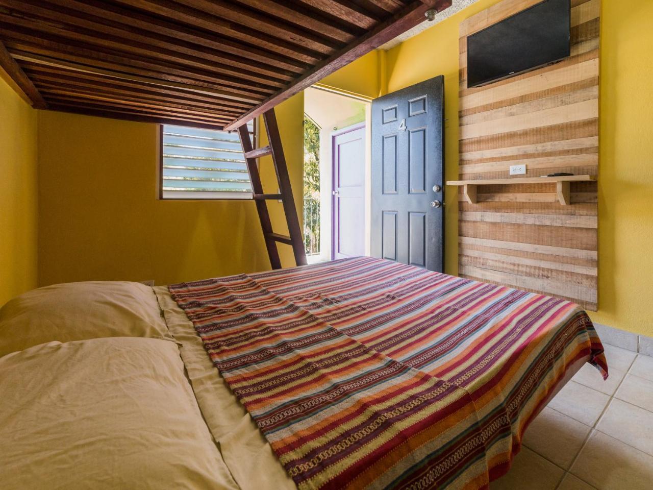 A Piece Of Ground Hostel Пунта Горда Екстериор снимка