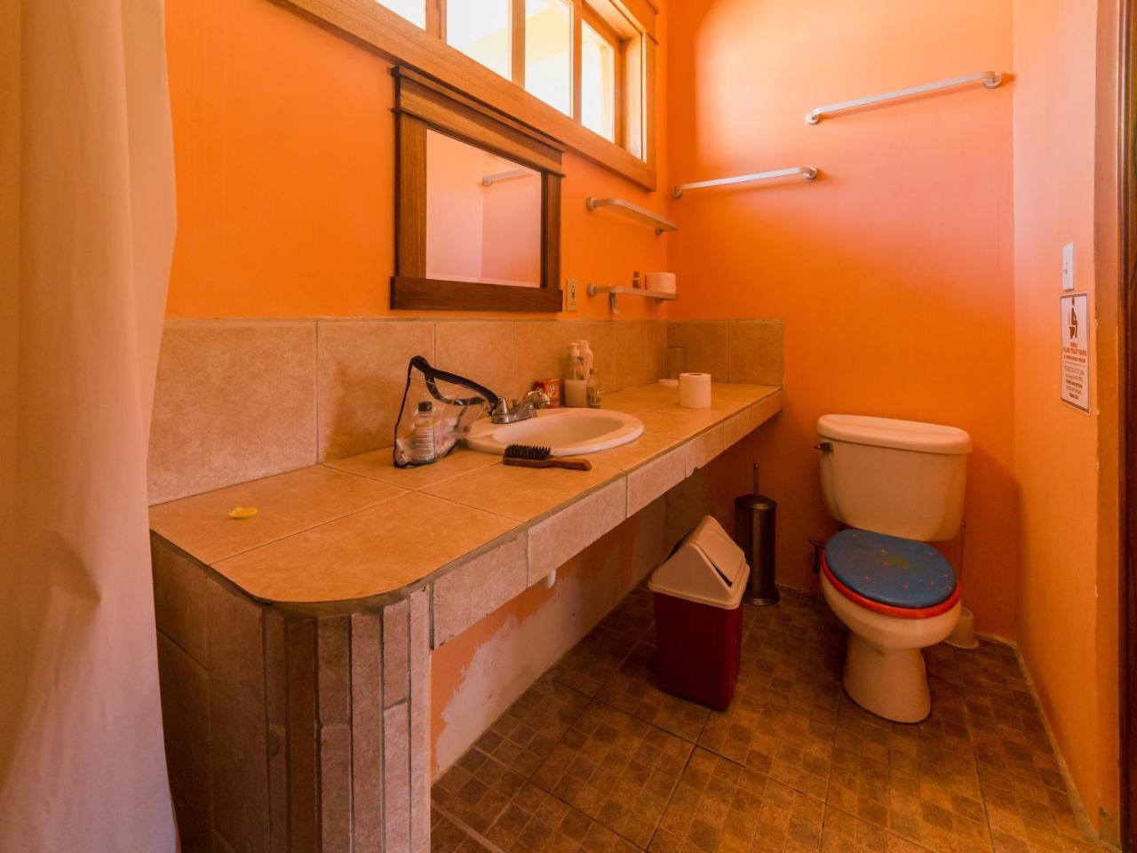 A Piece Of Ground Hostel Пунта Горда Екстериор снимка
