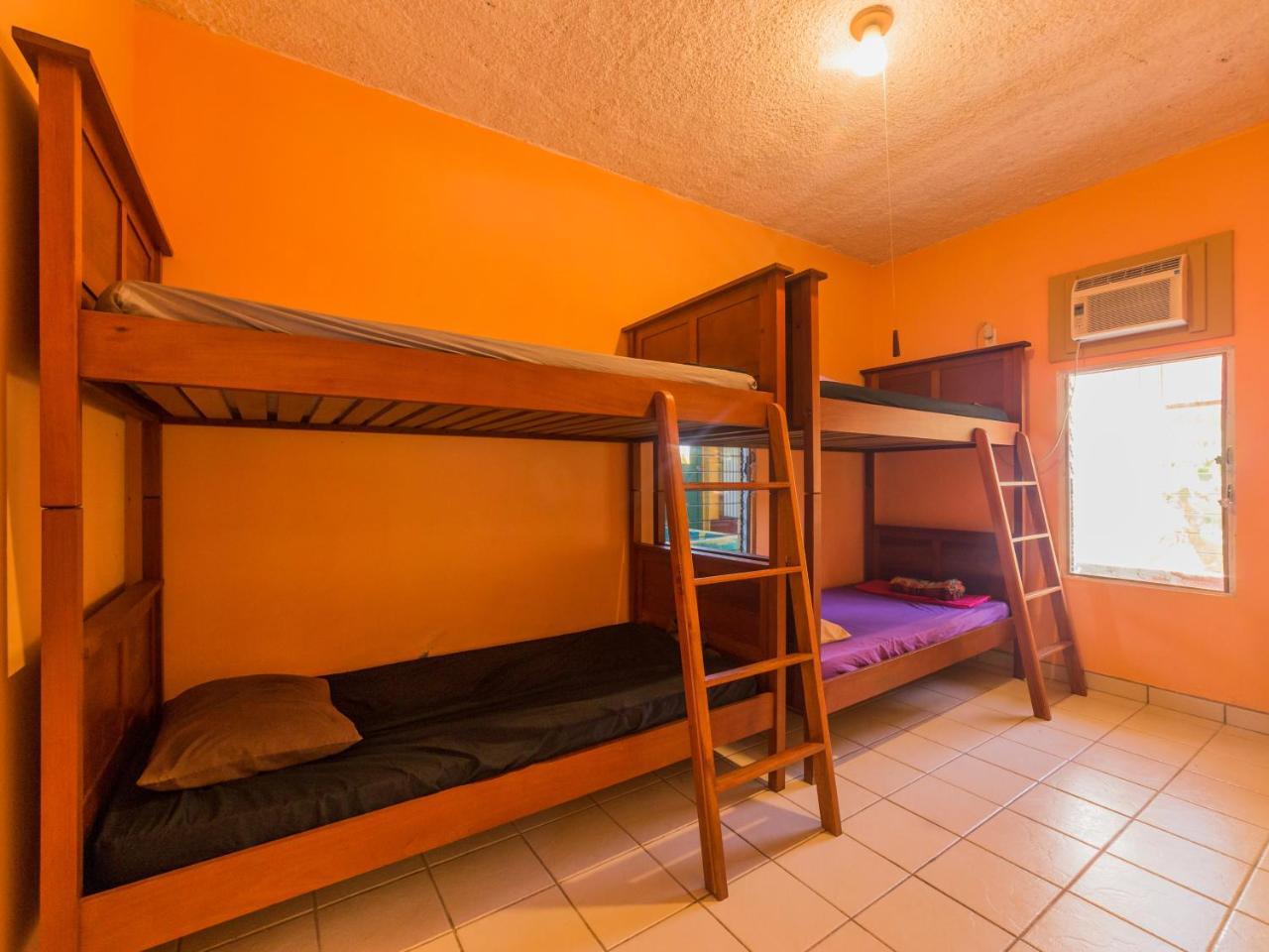 A Piece Of Ground Hostel Пунта Горда Екстериор снимка