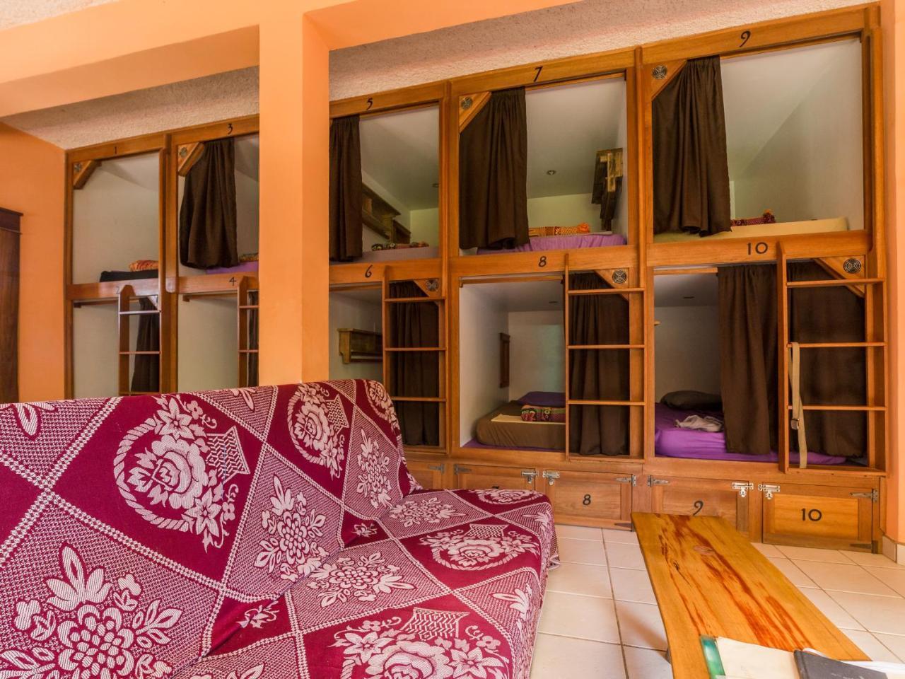 A Piece Of Ground Hostel Пунта Горда Екстериор снимка